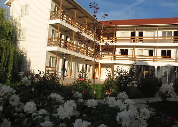 Hostel White Costinesti