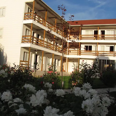 Hostel White Costinesti